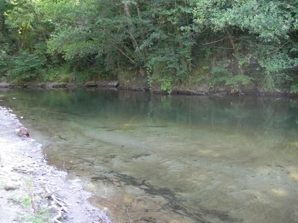 Appartement Les Rives De L'Ariege Luzenac Екстер'єр фото