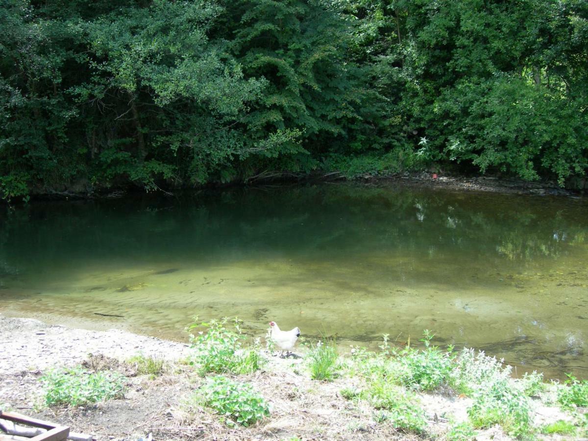 Appartement Les Rives De L'Ariege Luzenac Екстер'єр фото