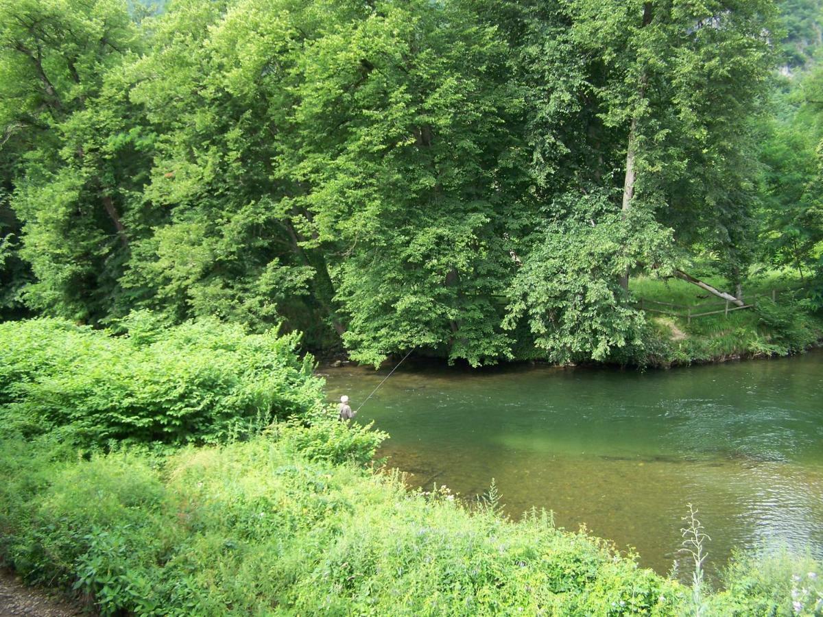 Appartement Les Rives De L'Ariege Luzenac Екстер'єр фото